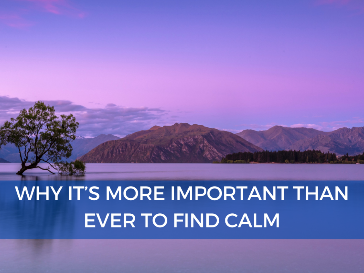 Why it’s More Important than Ever to Find Calm